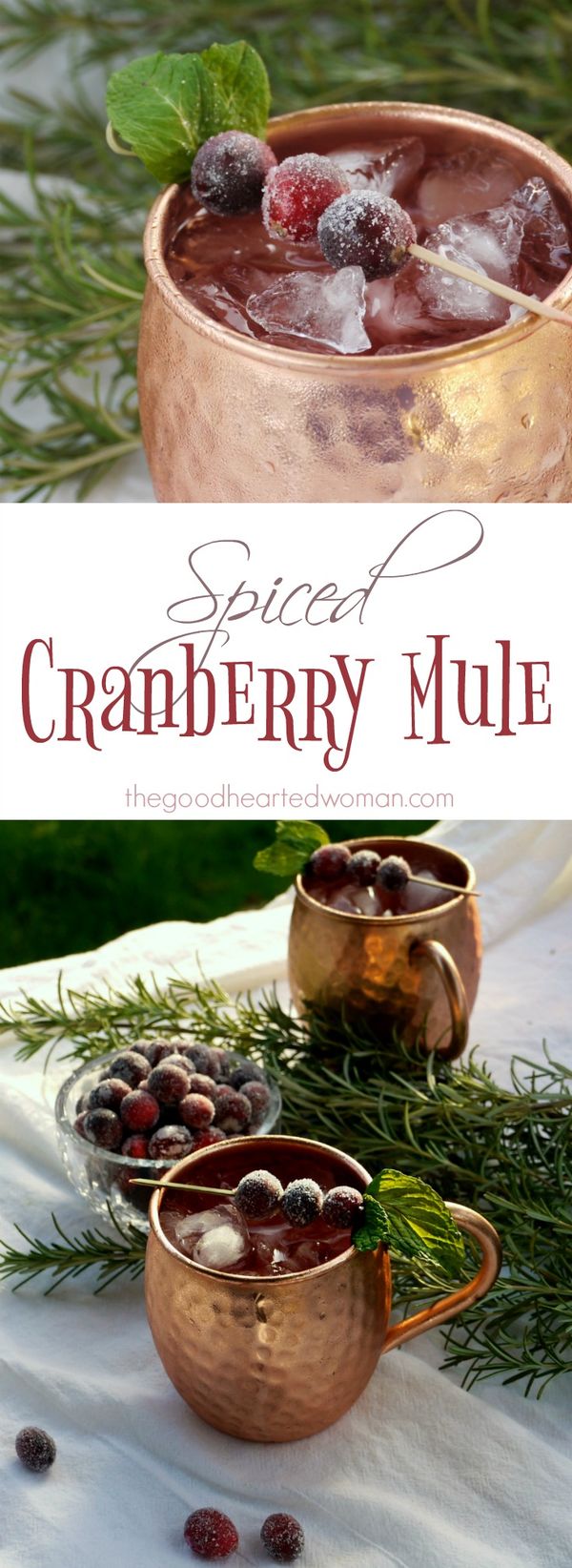 Spiced Cranberry Mule