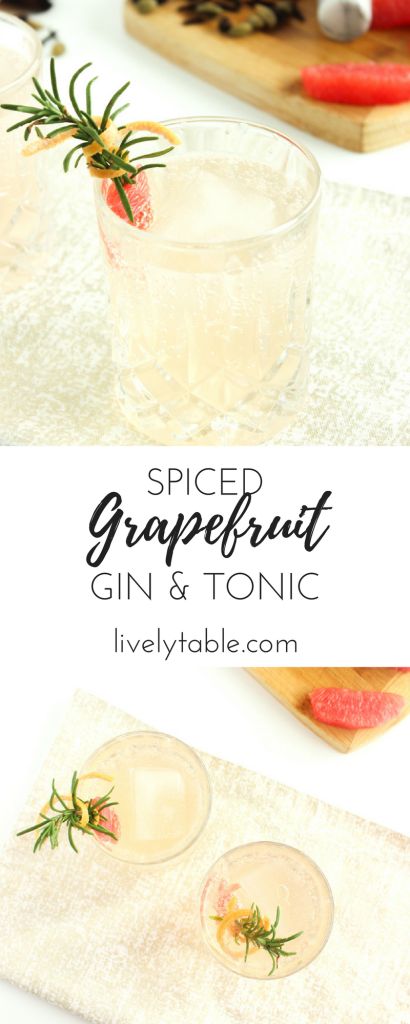 Spiced Grapefruit Gin and Tonic