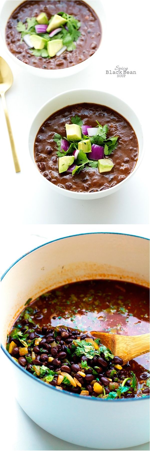 Spicy Black Bean Soup