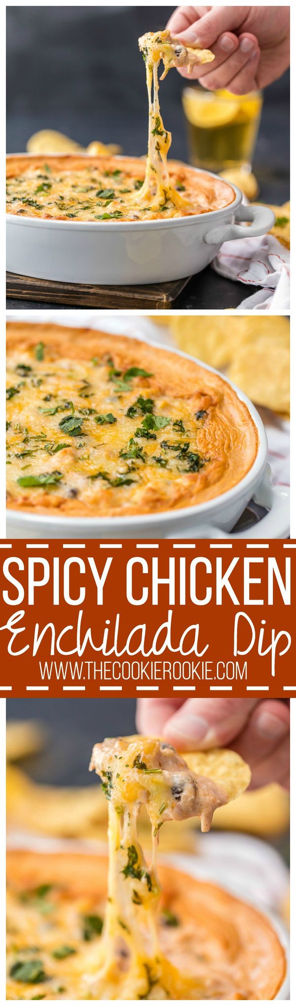 Spicy Chicken Enchilada Dip