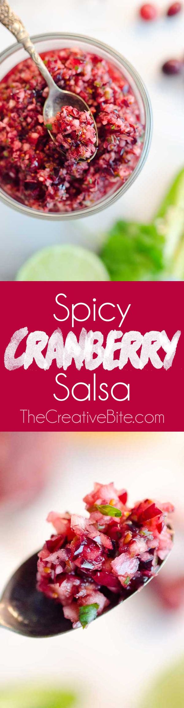 Spicy Cranberry Salsa