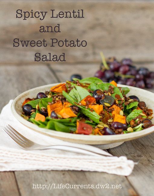 Spicy Lentil and Sweet Potato Salad with Chipotle Vinaigrette Dressing
