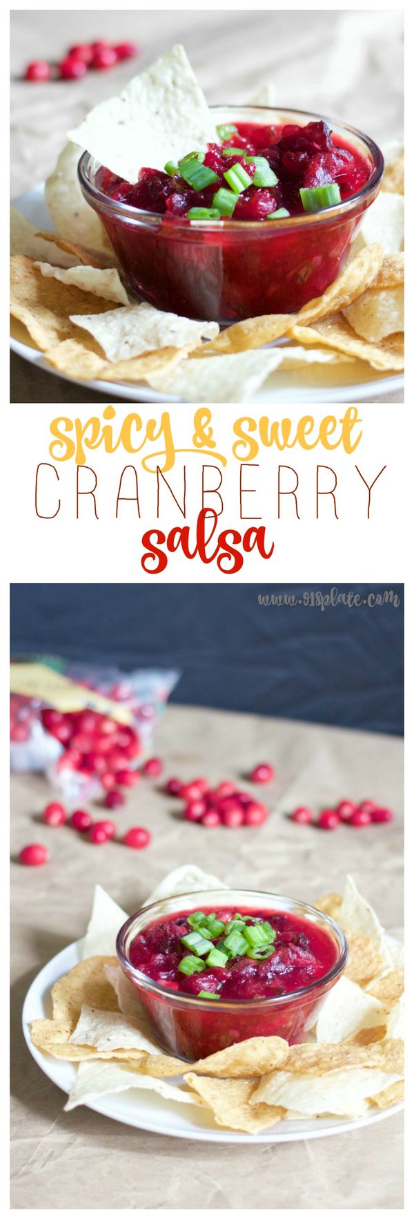 Spicy Sweet Cranberry Salsa