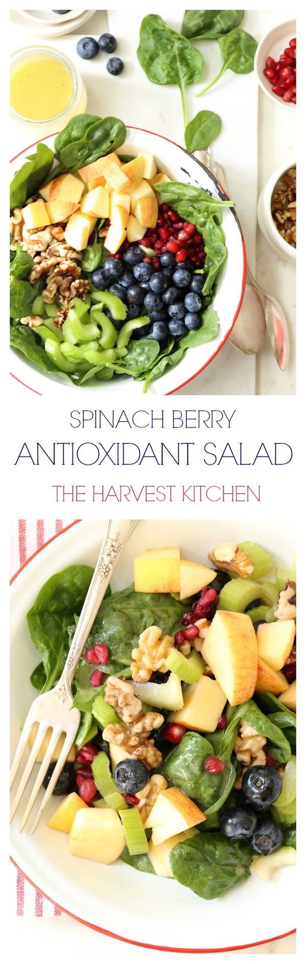 Spinach Berry Antioxidant Salad