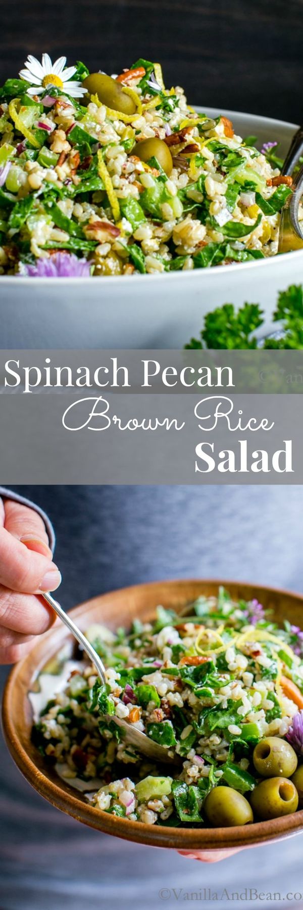 Spinach Pecan Brown Rice Salad