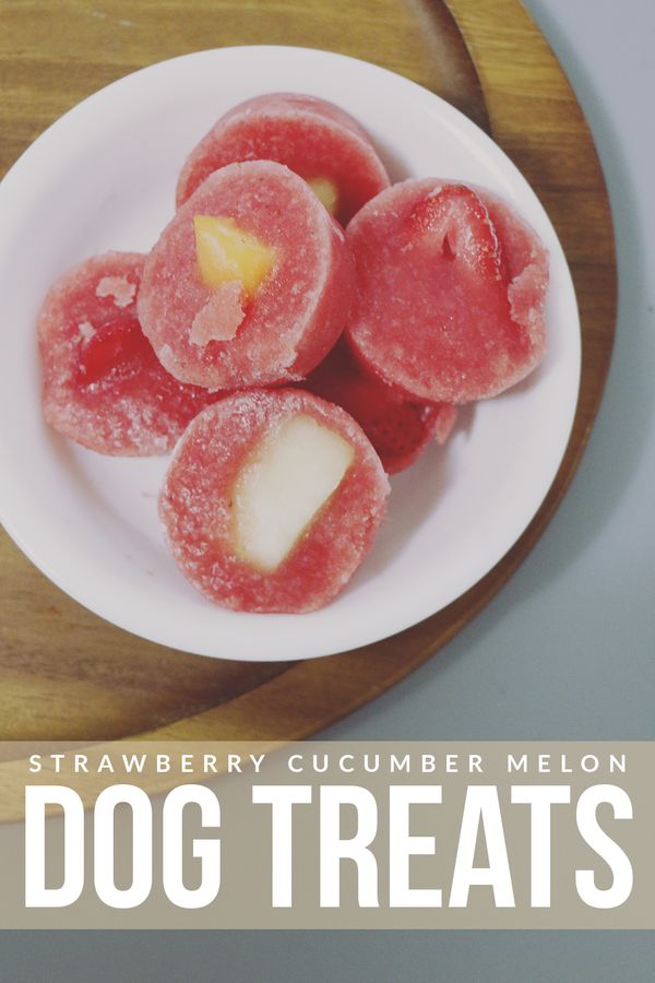 Strawberry Cucumber Melon Dog Treats