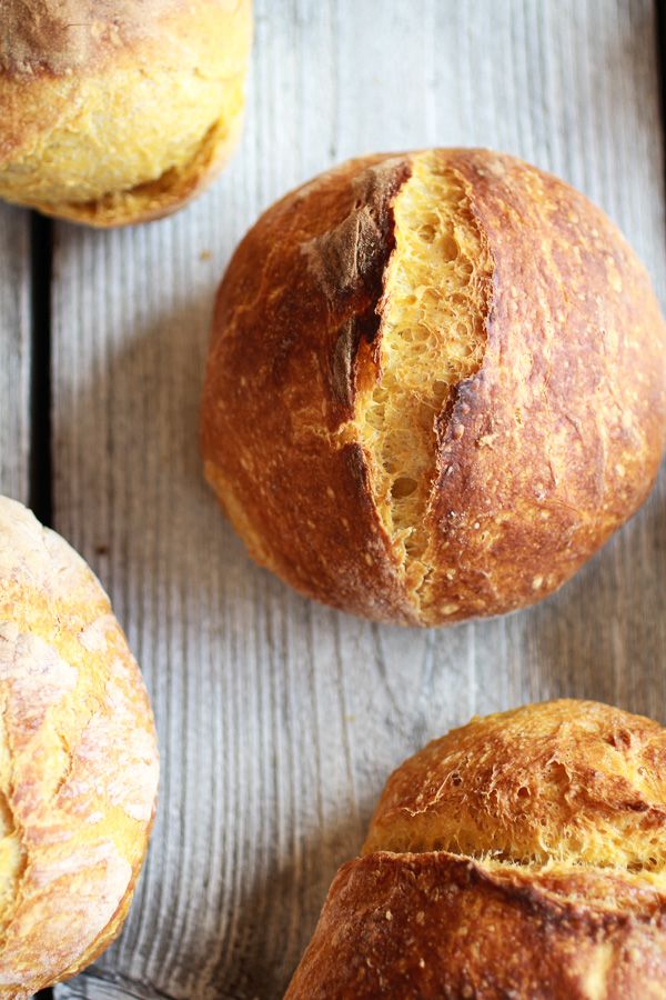 Super Easy Crusty No-Knead Pumpkin Bread Bowls