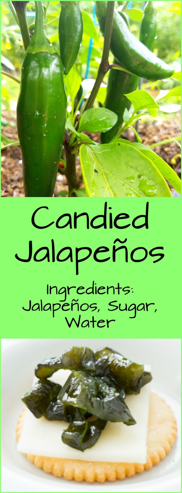 Sweet and Spicy Candied Jalapenos