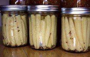 Sweet Pickled Baby Corn Cobs