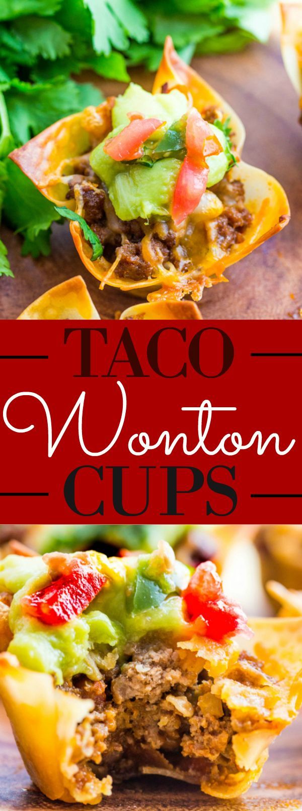 Taco Wonton Cups