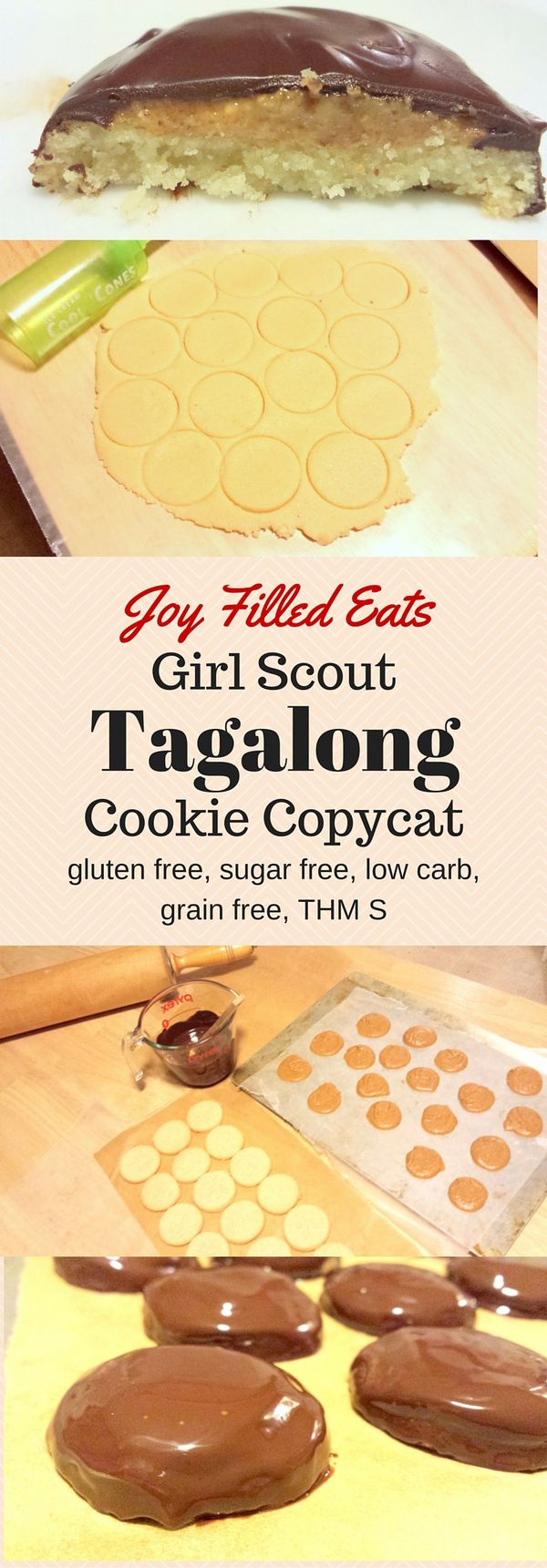 Tagalong Girl Scout Cookie Copycat THM S