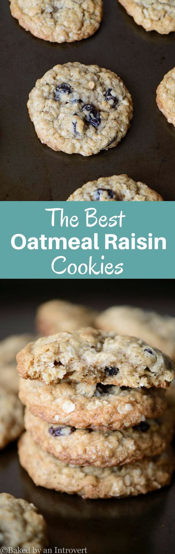 The Best Oatmeal Raisin Cookies