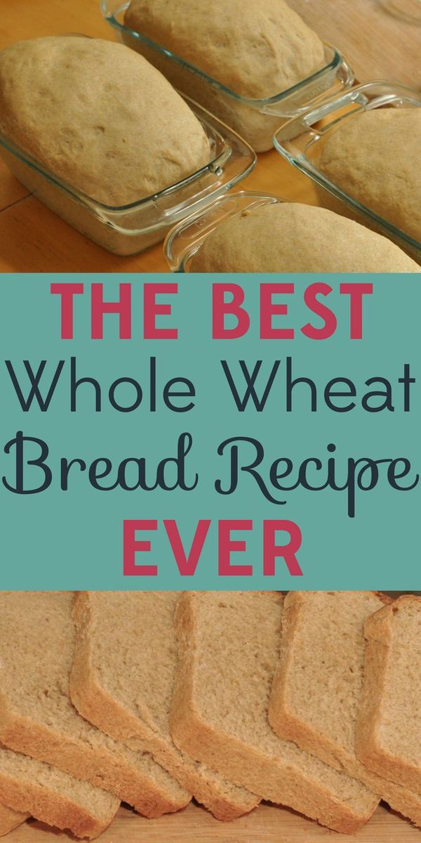 The Best Whole Wheat Bread Recipe Ever