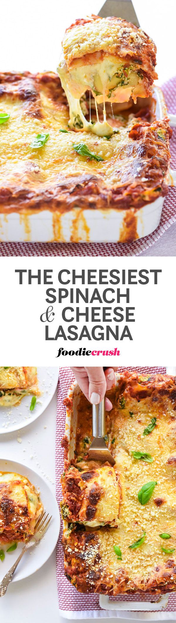 The Cheesiest Spinach and Cheese Lasagna