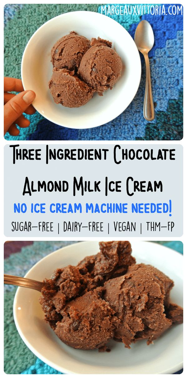 Three Ingredient Chocolate Almond Milk Ice Cream