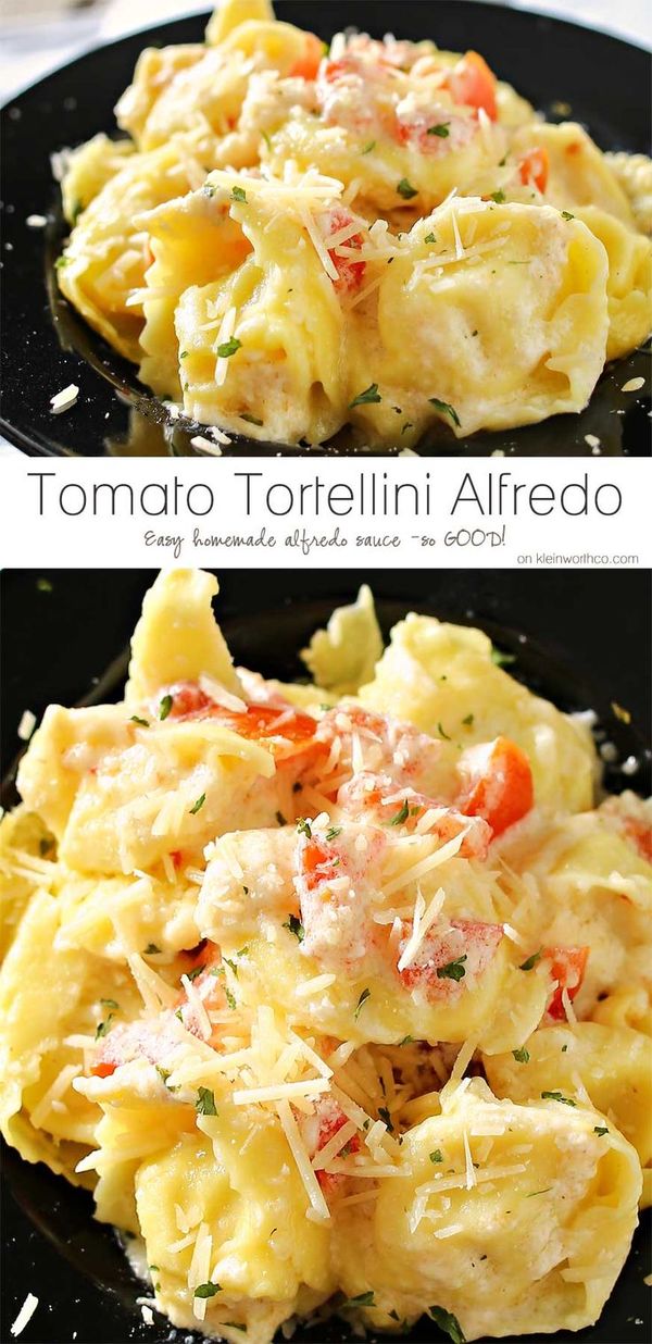 Tomato Tortellini Alfredo