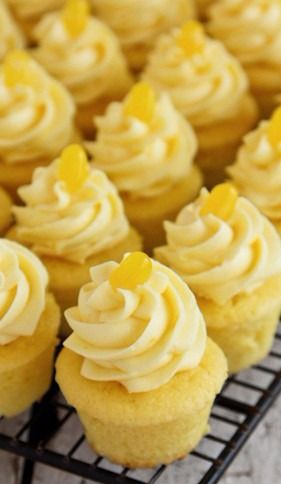 Triple Lemon Baby Cakes with Lemon Pudding Cream