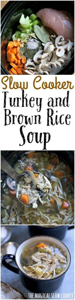 Turkey and Brown Rice Soup