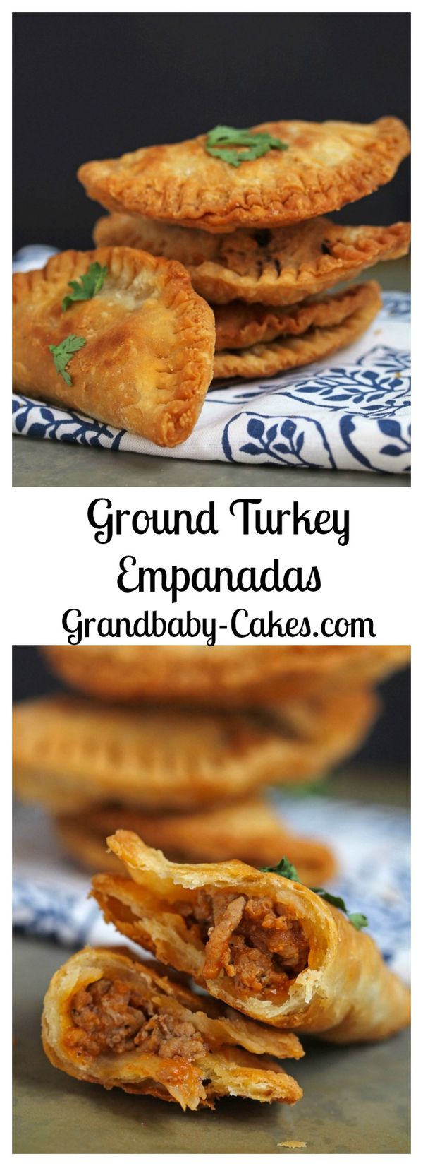 Turkey Empanadas