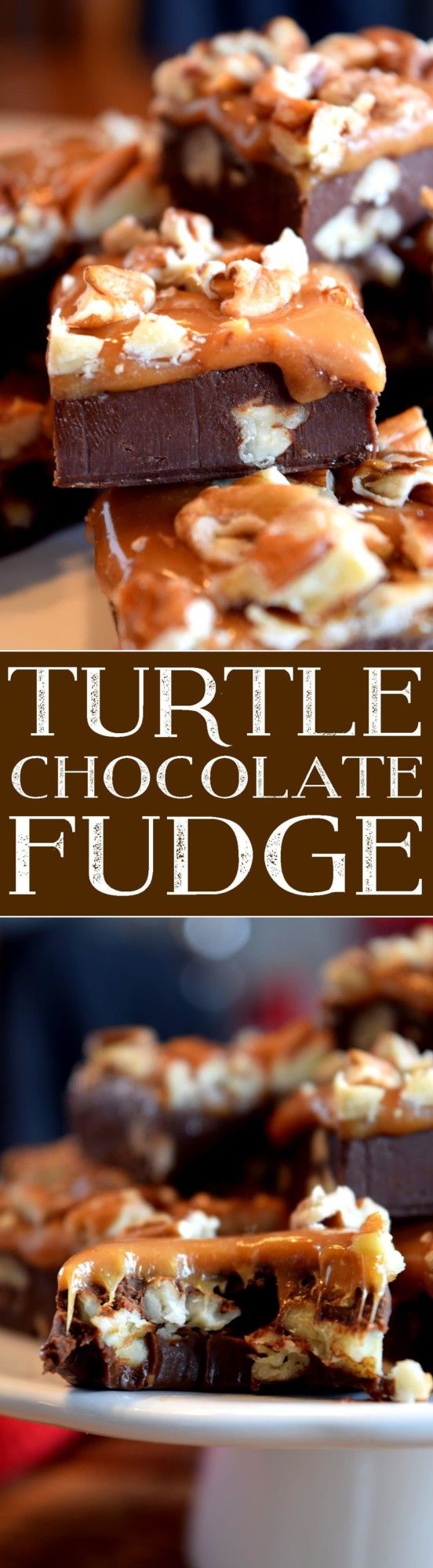 Turtle Chocolate Fudge