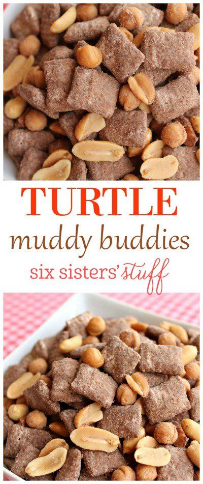 Turtle Muddy Buddies