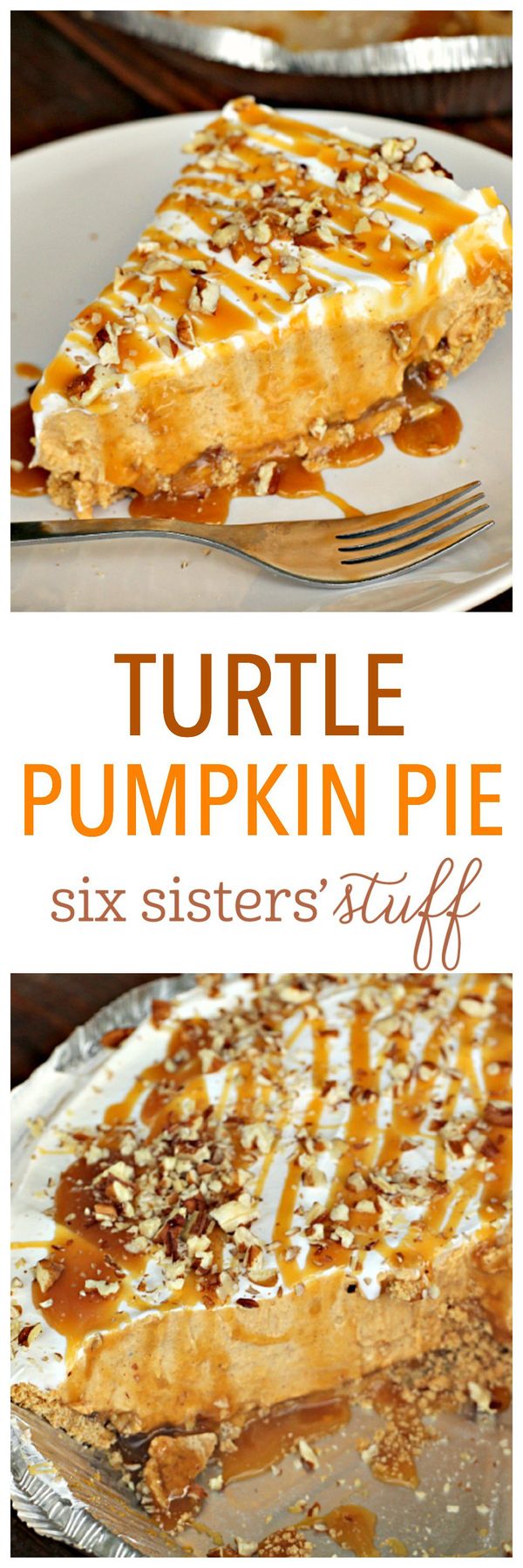 Turtle Pumpkin Pie