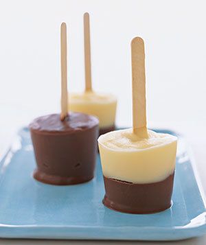 Vanilla-Chocolate Pudding Pops