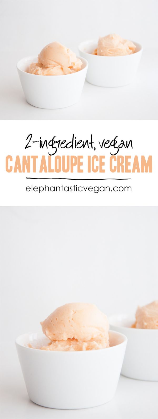 Vegan 2 Ingredient Cantaloupe Ice Cream