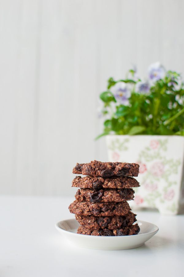 Vegan Chocolate Raisin Cookies