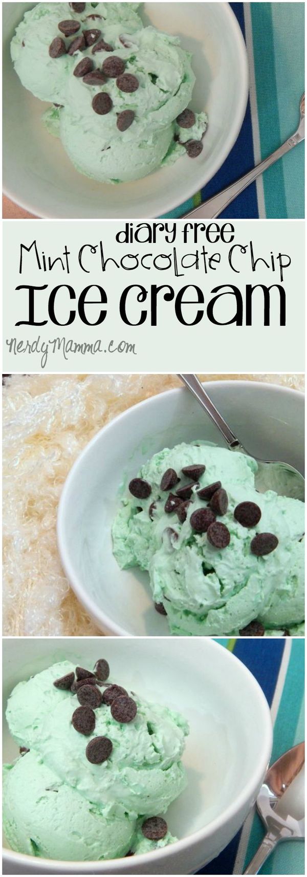 Vegan Mint Chocolate Chip Ice Cream