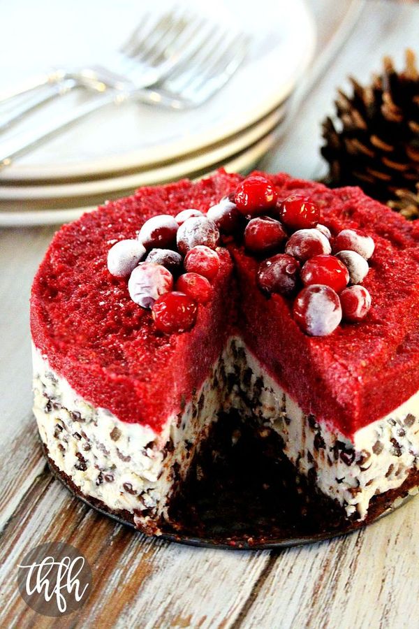 Vegan No-Bake Chocolate Chip Cranberry Cheesecake (Vegan, Gluten-Free, Dairy-Free, Egg-Free, Soy-Free, No-Bake, Paleo-Friendly, No Refined Sugar