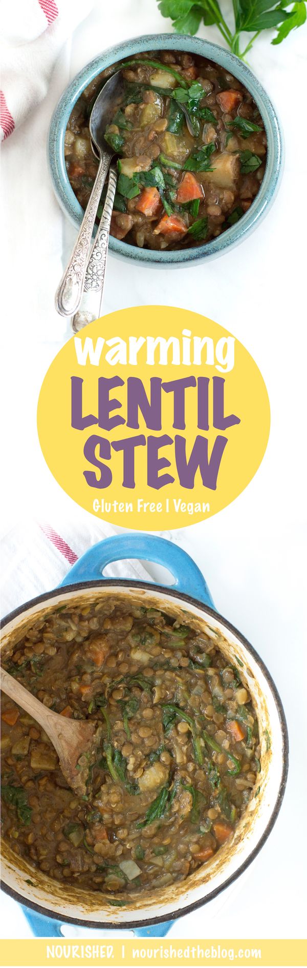 Vegan Warming Lentil Stew