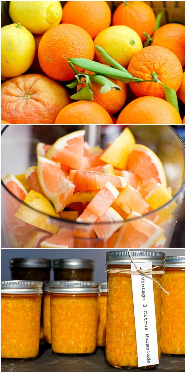 Vintage 3 Citrus Marmalade