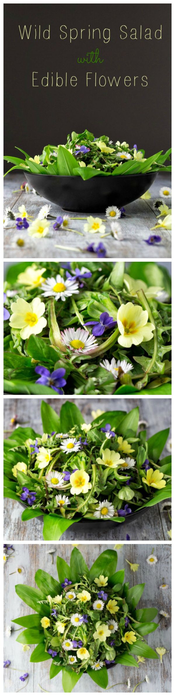 Wild Spring Salad with Edible Flowers