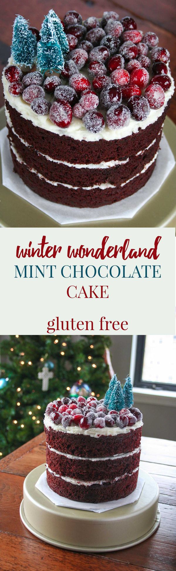 Winter Wonderland Mint Chocolate Cake