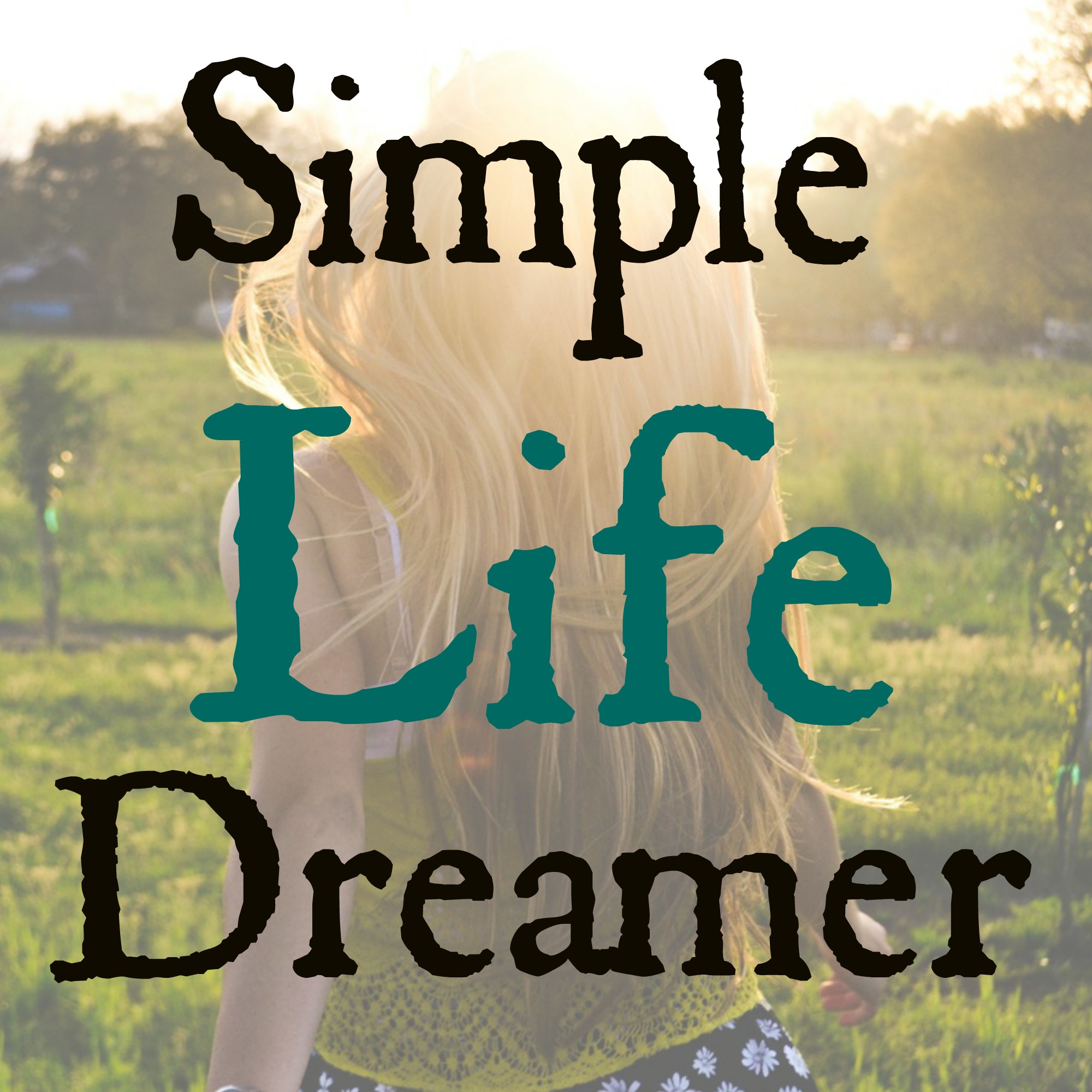 simplelifedreamer.com