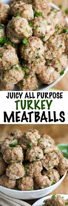 All Purpose Turkey Meatball