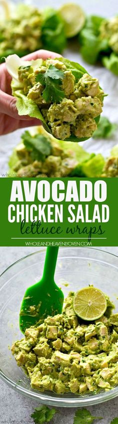 Avocado Chicken Salad Lettuce Wraps