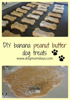 Banana Peanut Butter Treats