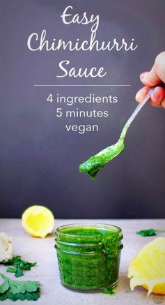 Blender Chimichurri Sauce