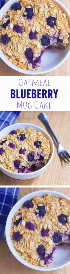 Blueberry Baked Oatmeal Mug Cake