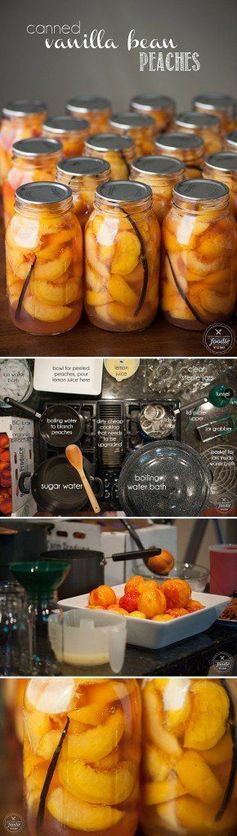 Canned Vanilla Bean Peaches