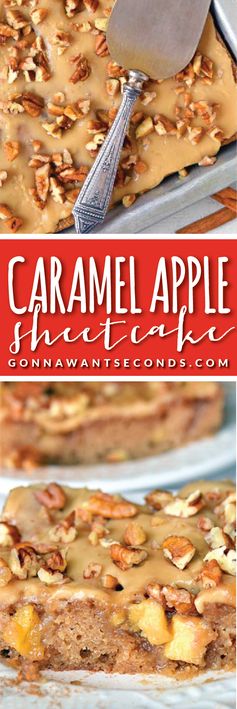 Caramel Apple Sheet Cake