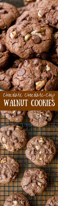 Chocolate Chocolate-Chip Walnut Cookies