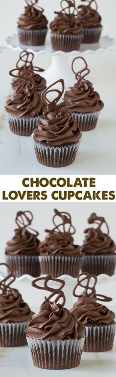 Chocolate Cupcakes