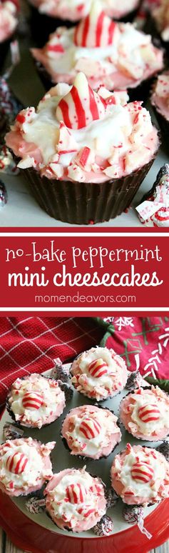 Chocolate Peppermint No-Bake Mini Cheesecakes