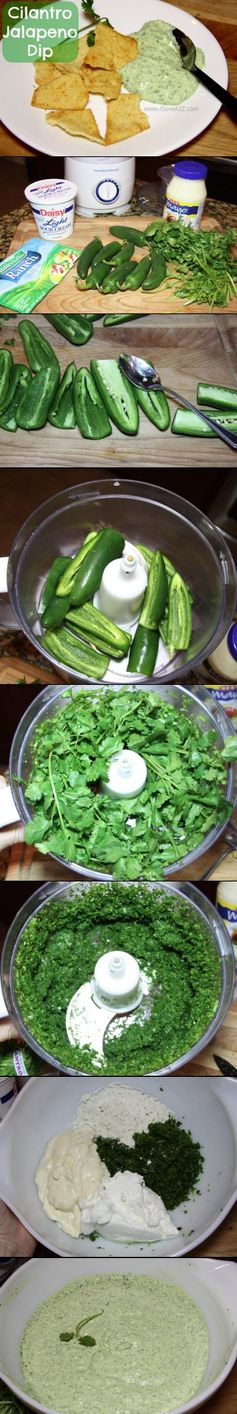 Cilantro Jalapeno Dip