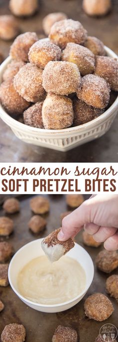 Cinnamon Sugar Soft Pretzel Bites