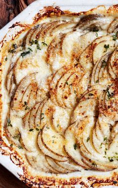 Classic Potato Gratin