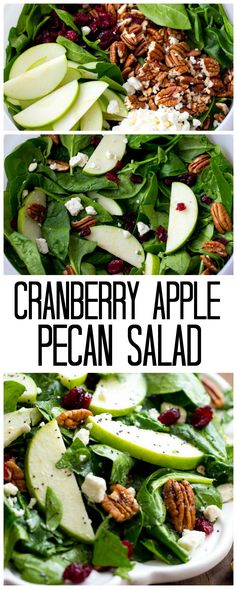 Cranberry Apple Pecan Salad with Creamy Poppyseed Dressing